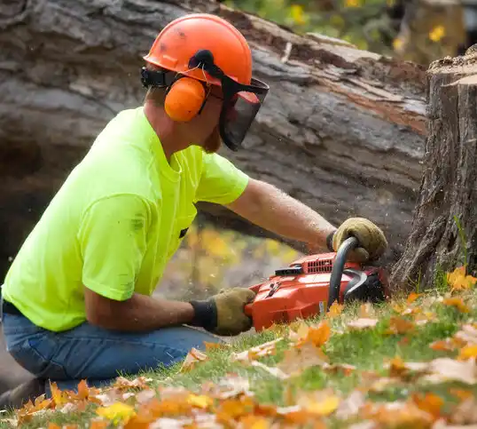 tree services Hagerman